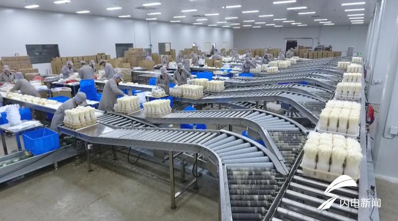 科技扶貧新起點，鄉村振興新篇章——2019年山東農業科技服務(扶貧)月啟動儀式在鄒城盛大舉行